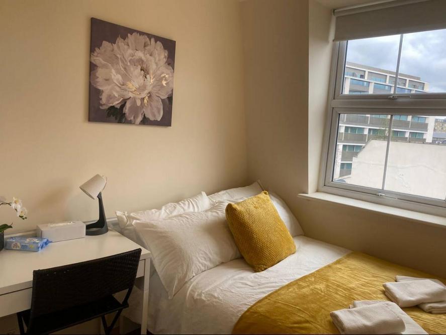Cosy Private In Euston Square, Homestay